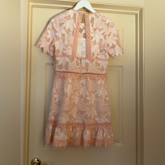 NWT Saylor Birgit Blush Dress - Picture 4 of 5
